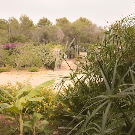 Spiaggia Lazzarettohouse Alghero Eksteriør bilde